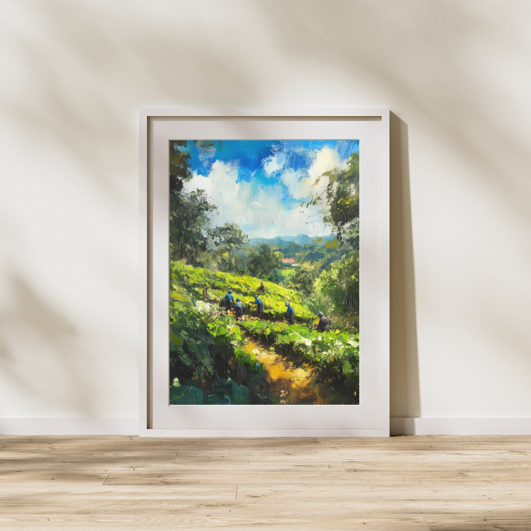 Skies of Ceylon