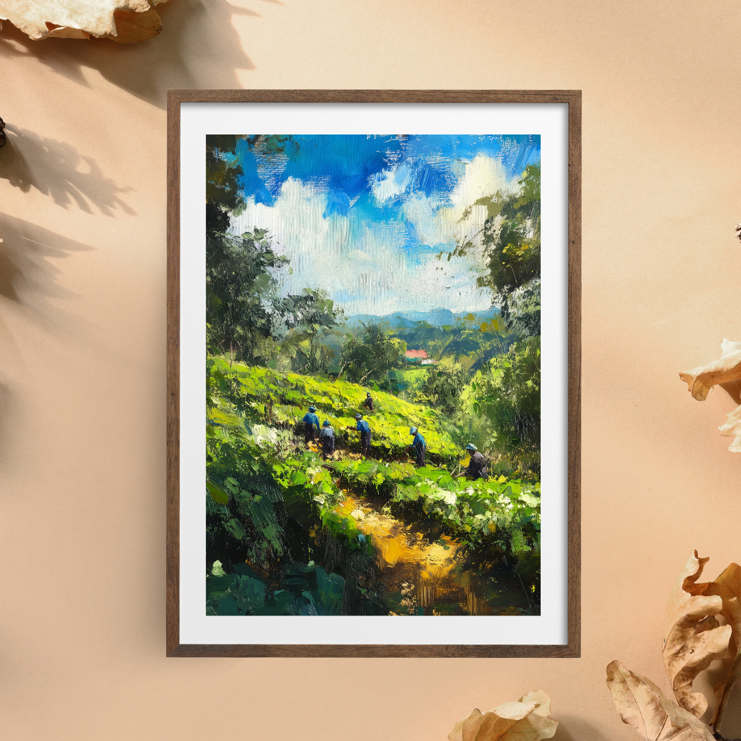 Skies of Ceylon